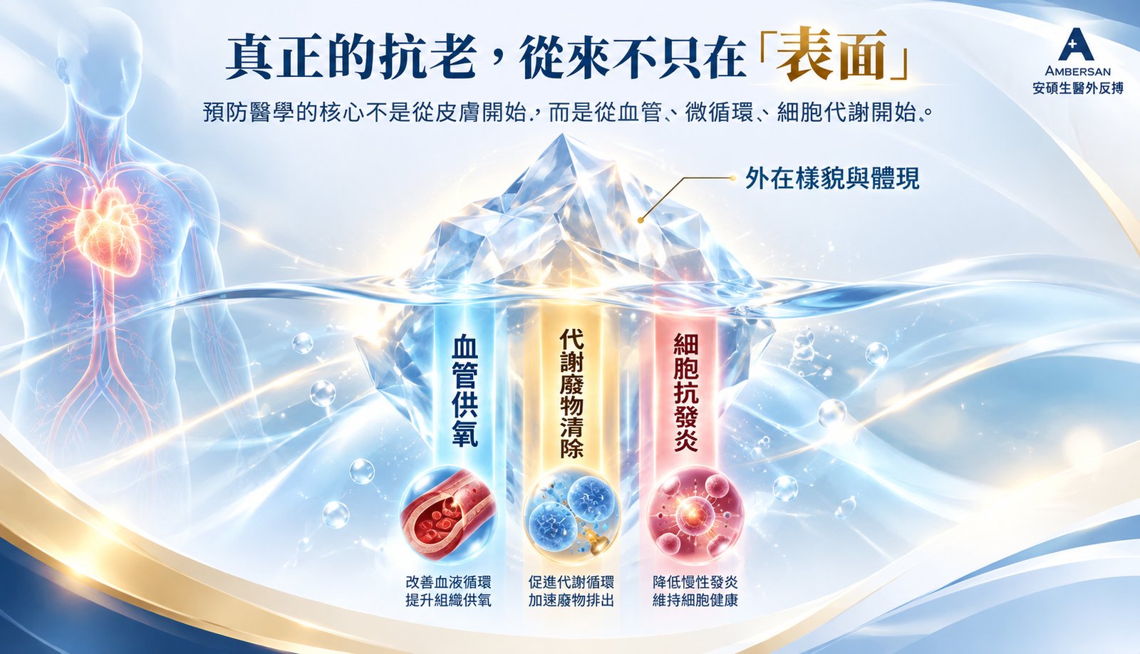 真正的抗老：血管供氧、代謝廢物清除、細胞抗發炎