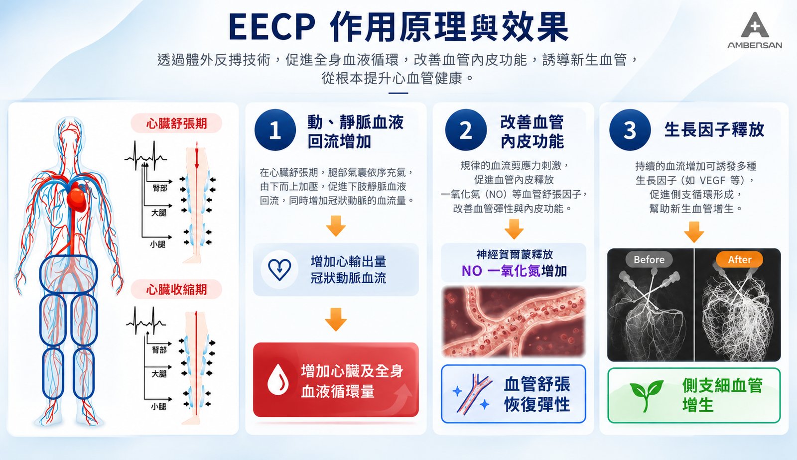 EECP 作用原理與效應