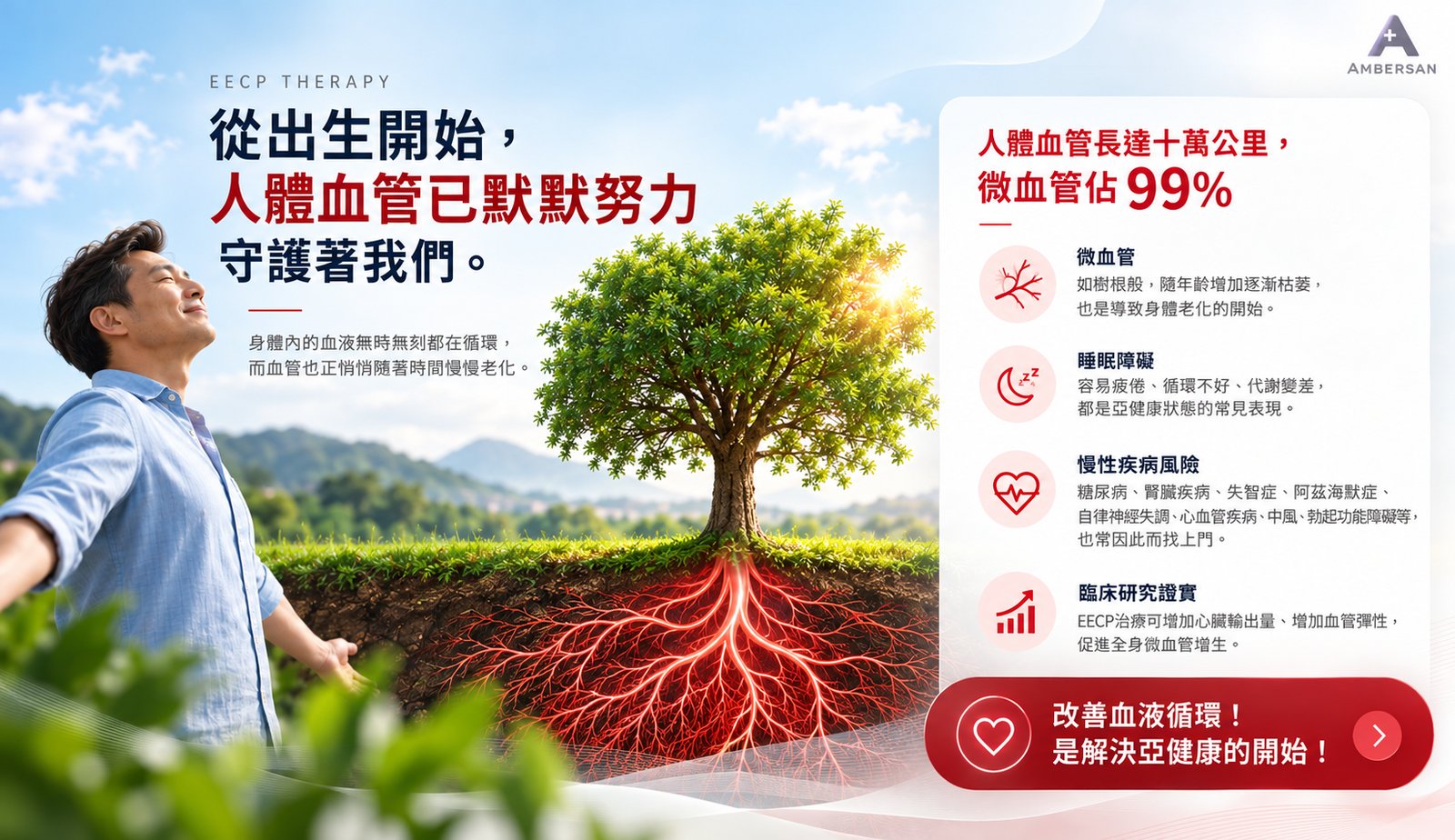 人體血管如樹根，微血管佔99%
